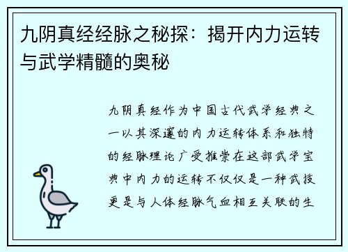九阴真经经脉之秘探：揭开内力运转与武学精髓的奥秘